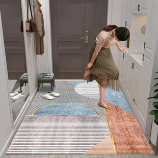Entry Floor Mat Door Interior Modern Simple Light Luxury Style Cuttable Carpet Entrance Home Interior Entrance Door Mat