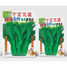 宁夏60天尖叶多芽油青甜菜心种籽广东菜心种子四季青菜种蔬菜种孑