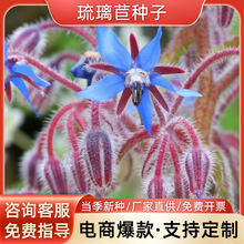 �����ķN���ļ��׷N���N����ֲ���ͥ�@ˇ�̨ͥԺ���Ի�������