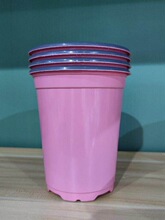 �pɫ���������бP11���׼����ֲ��Ӻ��¼�Ǥ�岥�N�@ˇ���غڷ�