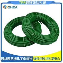 TPR�羳ܛ�A�����������z�̶�ֲ�ﻨ�܈@�־��ľGɫ���܈@ˇ����