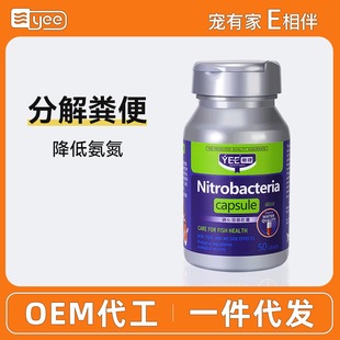 Nitrifying bacteria fish tank water purification agent concentrated filter material water purification digestive bacteria capsule aquarium fish farming supplies