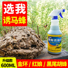 马蜂诱蜂水野外招胡蜂引蜂水金环红娘大黑黄腰黑尾马蜂服捕蜂工具