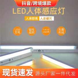 汽车载后备箱灯车内照明灯自动感应灯吸顶灯LED尾箱灯车用阅读灯