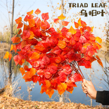 �ٞ����~��������~�ﶬ������b٘�֦���ϼ٘��~�t�Sɫ���~��