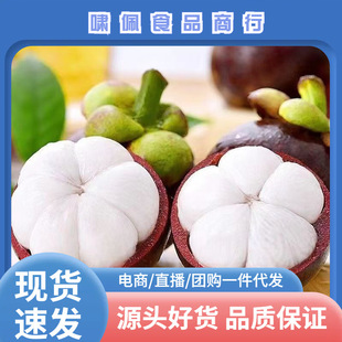 ̩���M��ɽ��1/3/5�����r�������ˮ���������ЋD���]���r�F�l