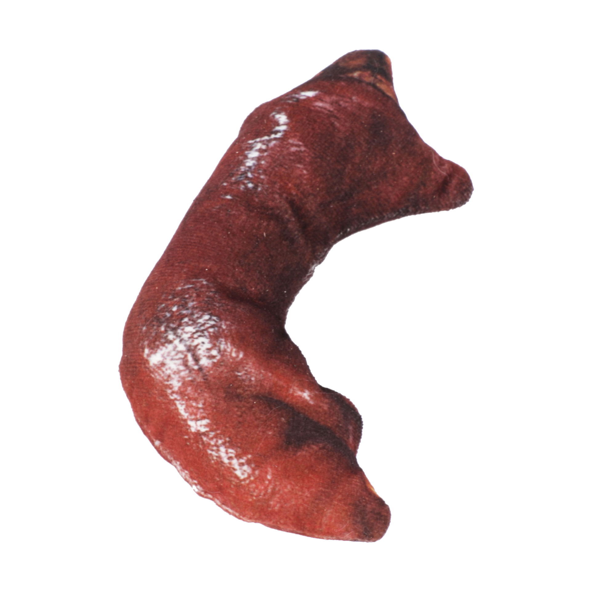 족발 (16*8*4.5cm 25G)