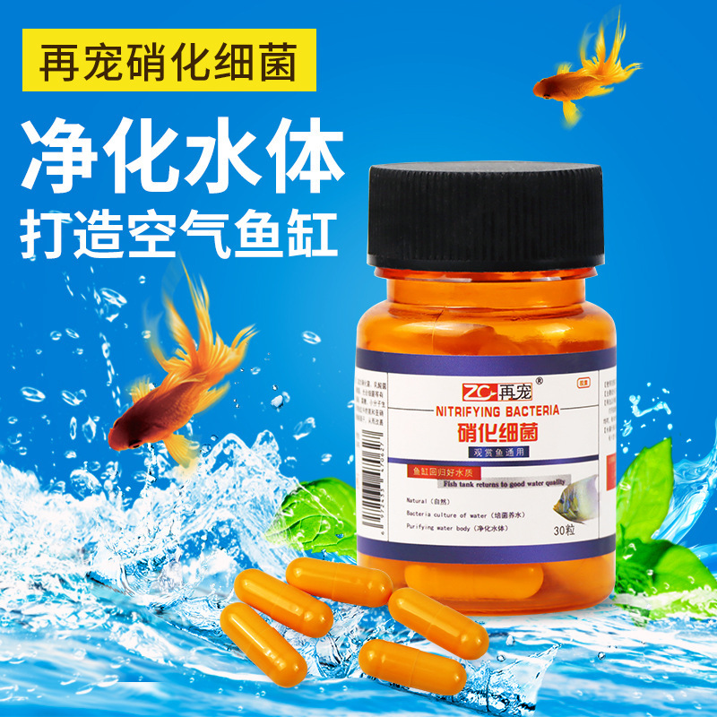 Fish Tank Nitrifying Bacteria Capsule Arowana Fish Tank Water Purifier Water Quality Stabilizer Concentrated Dry Powder Bacteria Nitrifying Bacteria Capsule Fish Tank Nitrifying Bacteria Capsule Arowana Fish Tank Water Purifier Water Quality Stabilizer Concentrated Dry Powder Bacteria Nitrifying Bacteria Capsule