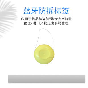 Asset Bluetooth Beacon bluetooth tag electronic anti-disassembly tag item anti-theft warehouse/goods entry and exit tag