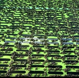 辅助包装材料;其他礼品包装;辅料加工定制