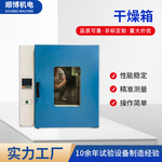 干燥箱电热数显试验室恒温鼓风干燥箱高温烤箱实验室消毒箱