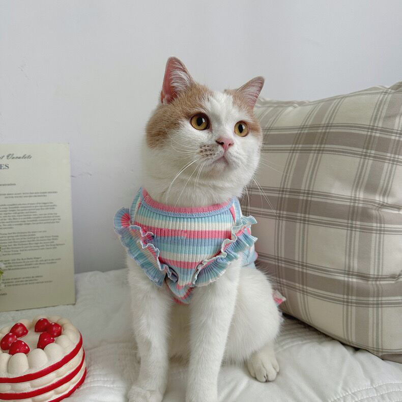 12dd60bb-03f0-4e87-982d-d98345b4f161.jpe