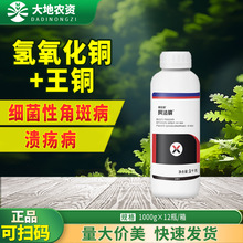 �����~ 34%�������~���~�S�ϼ����Խǰ߲����٘��rș������