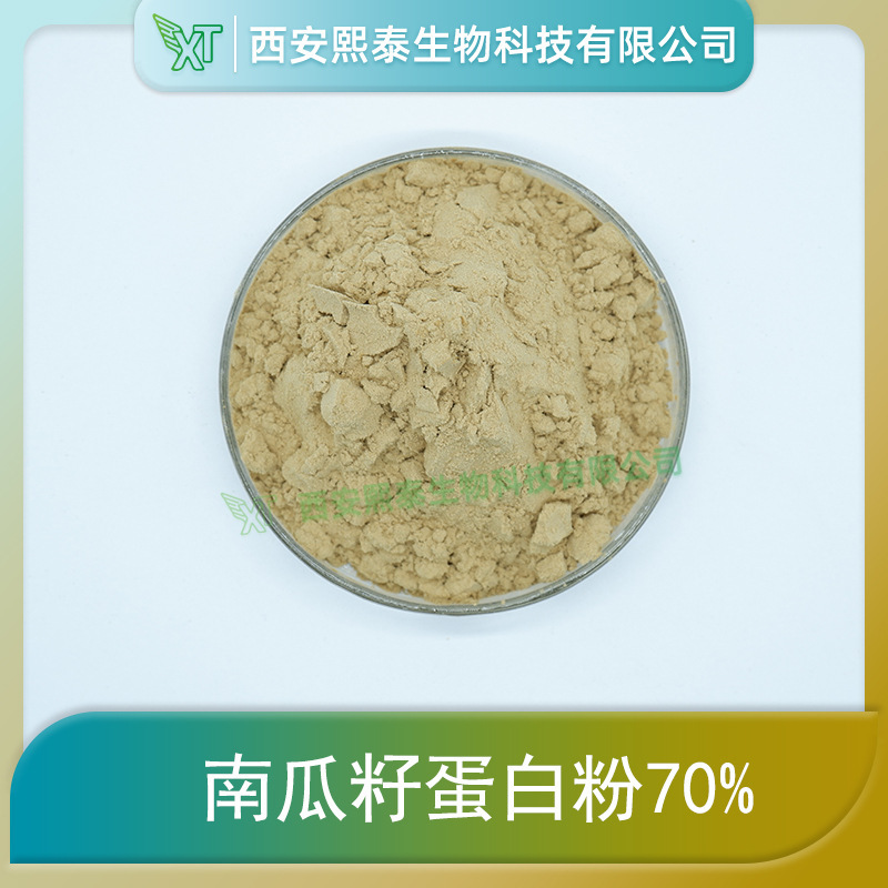 Pumpkin Seed Protein Powder 70% Xitai Bio Pumpkin Seed Extract Plant Protein Raw Material Powder Free Shipping