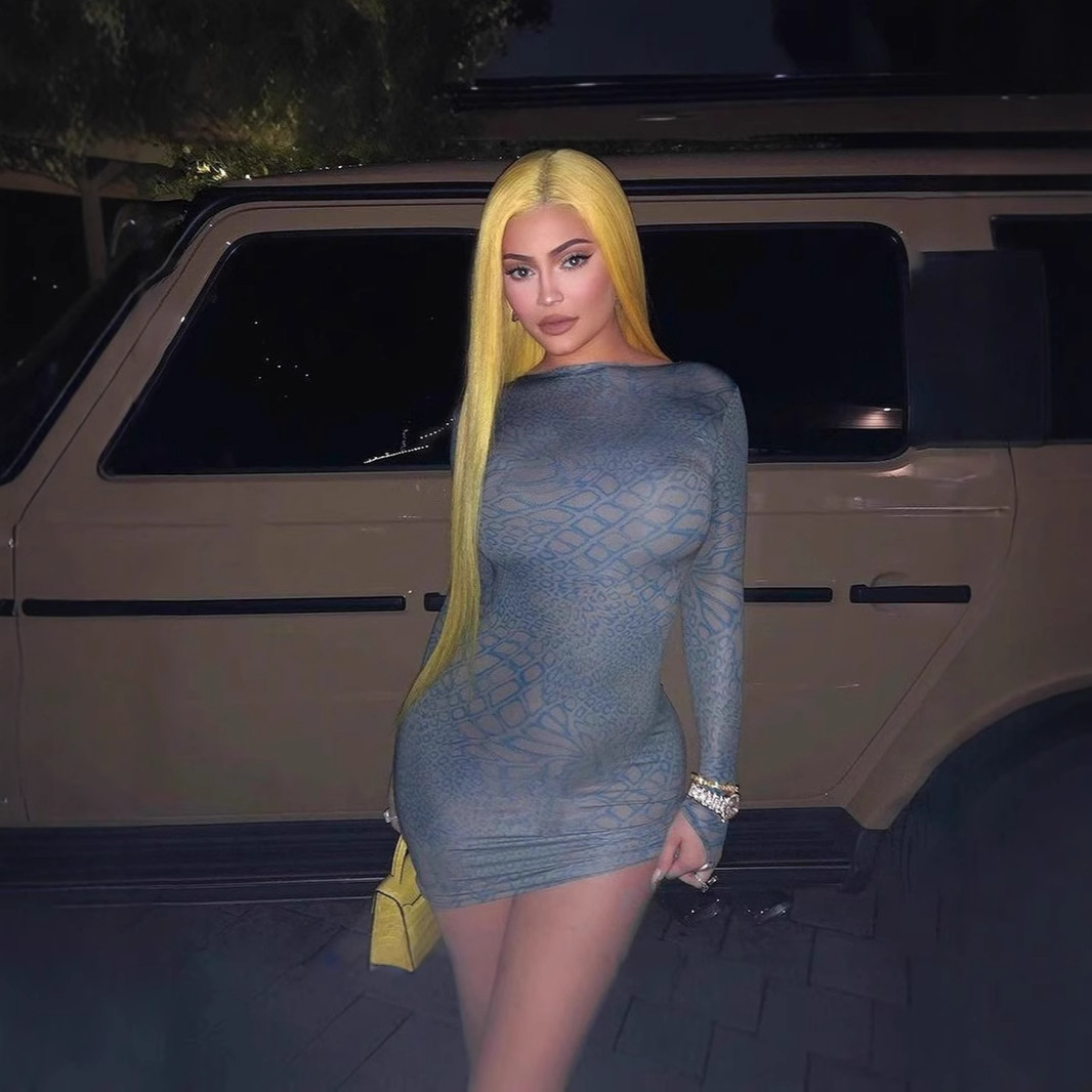 2024冬季新品小众知性抽象几何印花高腰套头修身指扣短款连衣裙