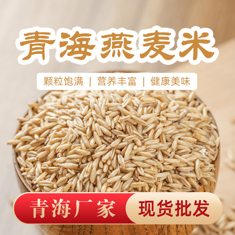 [Qinghai Straight Hair] Authentic Oat New Rice Pure Naked Oat Kernel High Quality Grain Whole Germ Rice