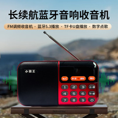 ラジオ2025新型国学経典聴読機人教版小覇王S57双電取り外し可能充電