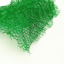 �S�ҹ������Sֲ���W�ӽ����S�����W�|�o�¼ӹ�ֲ��hdpe�ͺ����W