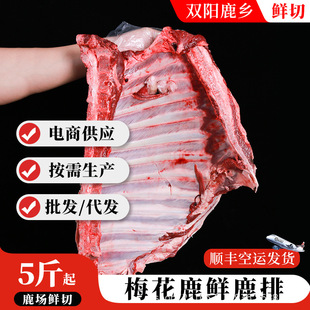 �����ơ� ÷��¹�r�Ź����r�F��¹�ŹǮa�����l����r������ ¹��