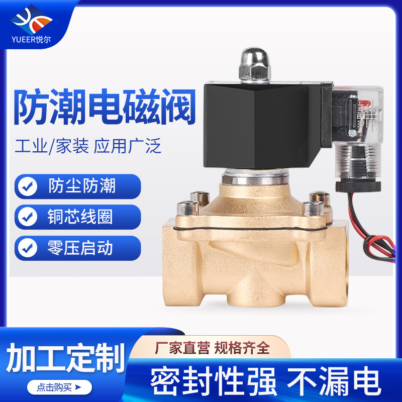 Manufacturer Outdoor Waterproof Solenoid Valve Normally Closed Electronic Control Switch 220V Water Valve Gas Valve Electronic Valve Copper Valve