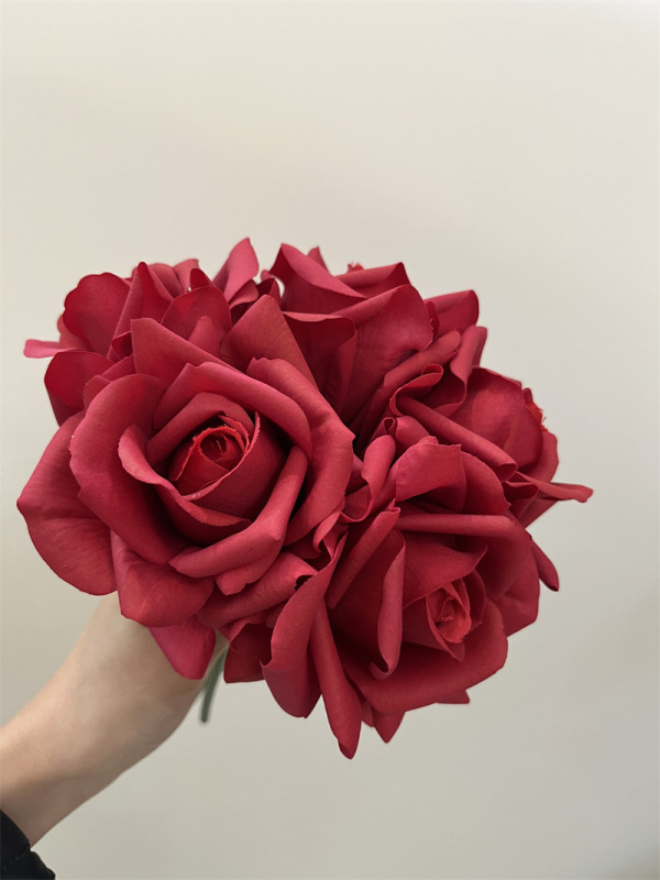 微信圖片_20240127154626