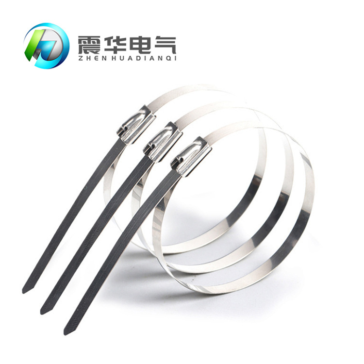 厂家直供304不锈钢扎带5*250自锁金属白钢绑带扎丝束线捆绑带批发