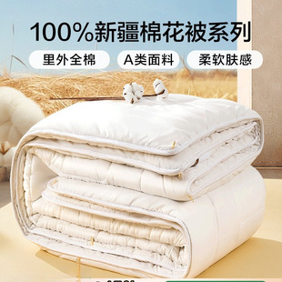 Cotton Quilt Xinjiang Quilt Four-Season Quilt Pure Cotton Wadding Quilt Core Summer Cool Quilt Dormitory Air-Conditioned Quilt
