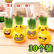 ���^�����k��������ֲ��С������ݷNֲ��������diy���ԌW���YƷ