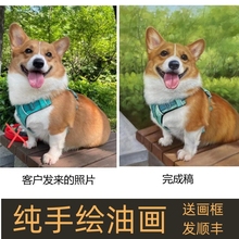 手绘宠物定制动物油画照片来图人像狗狗合照猫咪小狗肖像宠物画