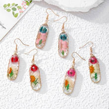 �~�z�@����߅�ɻ����z���h���P䓶��h�¿�s��ʽ�����羳���