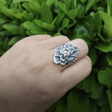 �����ĵ�������ָŮ�_���ֹ��Y��̩�y�͹������L���{��ָ�h�Ʒ