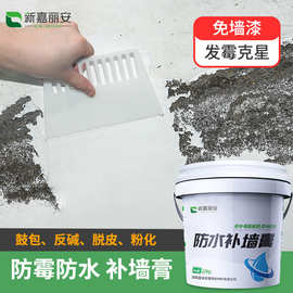 新嘉丽安补墙膏墙面涂料腻子粉防渗内墙乳胶漆修复墙洞修补膏