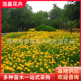 ���u���޸��ݻ�С��С��˹С����\�u�ջ��ܿ�ȸ�������^���p��