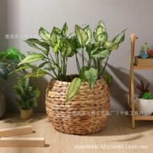 �羳���辎�����������ƿ��@�L�b[�����������Ҿ������ռ{��