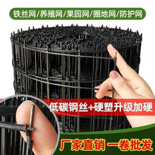 Ӳ���F�z�W���m�W���ھW���@�Bֳ�W���x�~�����o�W䓽z�W����ř�