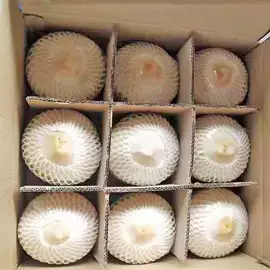 椰类果干;硬糖;烘焙原料