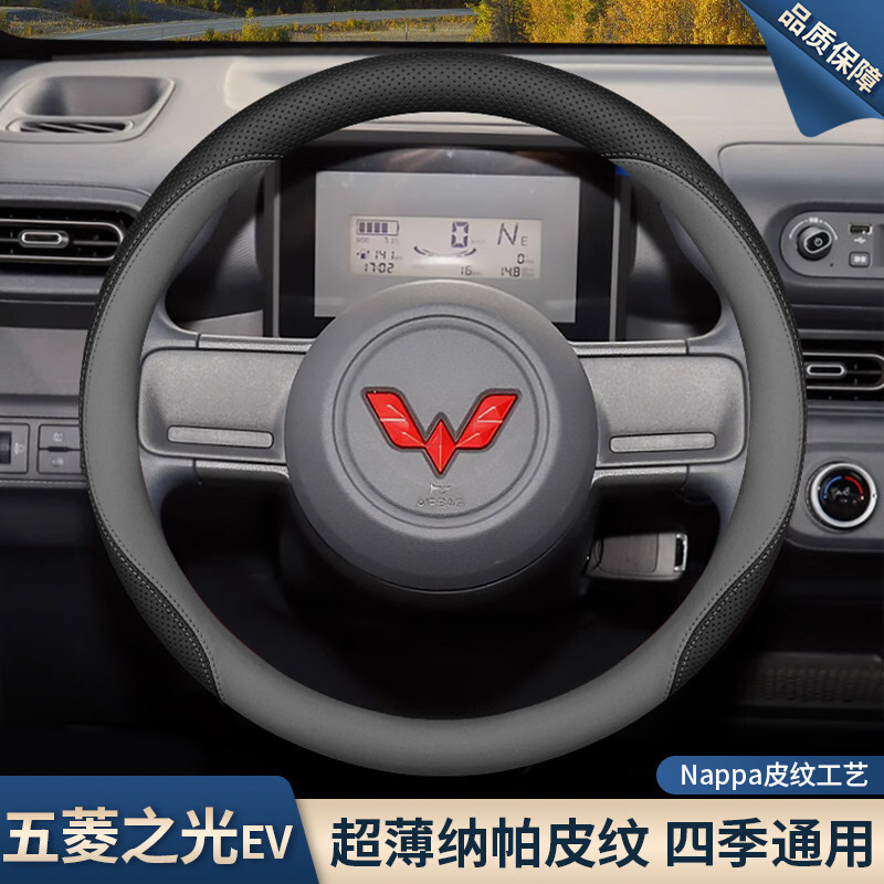 2025������֮��EV����P��25������Դ����b�����Ʒ����܇����