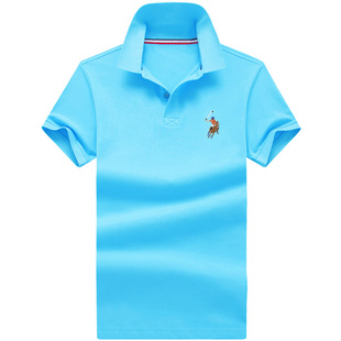 ���H���Ʊ��_Polo����ʿt���̄����e���I�������˴�a�߶˰���