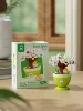 7460 Liyun Sianyue 215 capsules [color box]