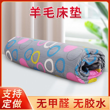 羊毛毡炕毡垫子家用学生保暖防潮火炕羊毛毡床毡子床垫定做