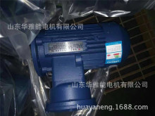 YBX5315S-2-110电机替代湘潭电机YPT电机技术要求户外防腐WF1 WF2