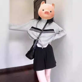 华棉慵懒风灰色拉链条纹卫衣外套女春秋2024新款早秋冬季开衫上衣