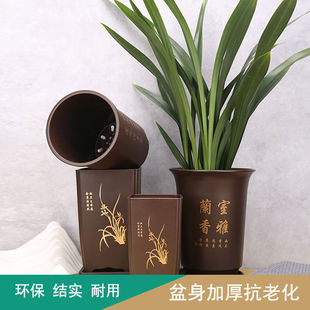 �Ӻ��֬�����m���茣�������ɰ�����A��������m��´����ϻ���