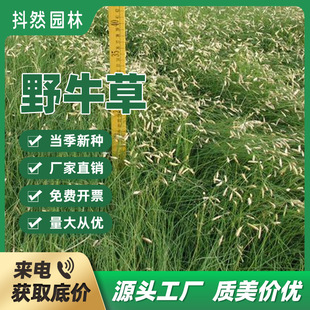 �S�����lҰţ�ݷN�Ӳ�ƺ�N�ӾG���o�;G�ͺ������B�ޏ͏;G����