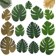 ����o�������~������~ �廨��ˇ��Ļ�c�Ɍ��b��~����Gֲ