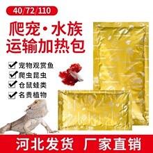 爬虫爬宠运输加热包水族鱼暖宝宠物72小时乌龟加温打包发货发热包