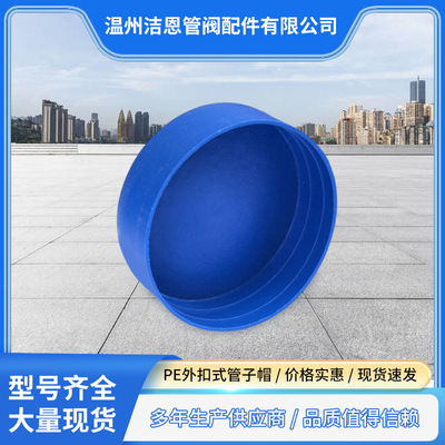 Zhejiang Manufactor supply Scaffolding Cap PE Button pipe Steel pipe Scaffolding Dedicated Cap wholesale