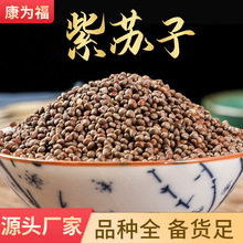 紫苏子 苏子紫苏苏籽紫苏子苏麻炒紫苏子（包邮）代打粉 量大从优