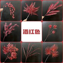 �¿�tɫϵ���滨��ʽ����ӆ�����Y���Y�ò����bٻ��ֹ���