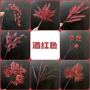 �¿�tɫϵ���滨��ʽ����ӆ�����Y���Y�ò����bٻ��ֹ���